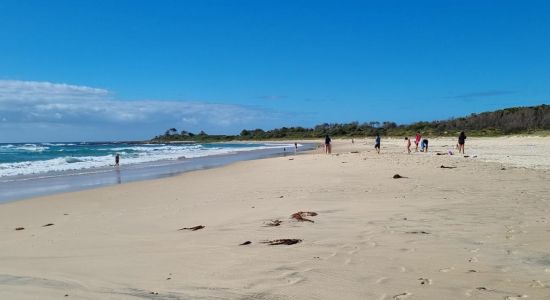 Racecourse Beach