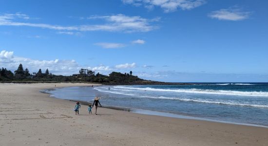 Gannet Beach