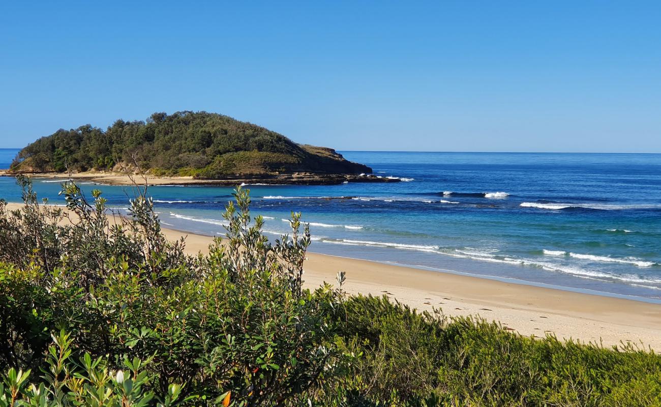 Фото Tabourie Beach с золотистый песок поверхностью