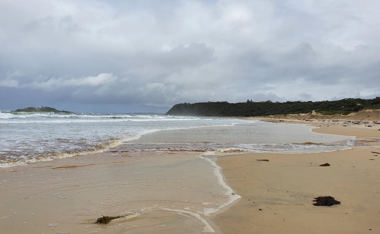 Фото Manyana Beach с светлый песок поверхностью