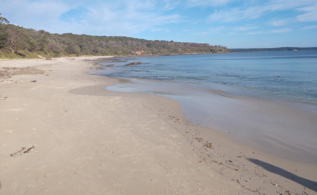 Фото Cabbage Tree Beach с светлый песок поверхностью