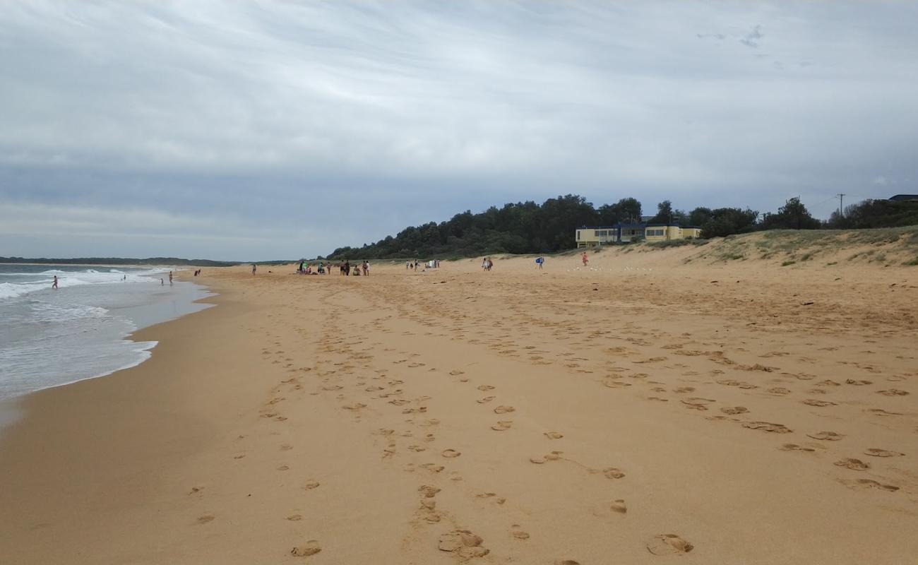 Фото Wollumboola Beach с золотистый песок поверхностью