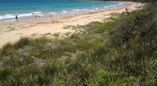 Culburra Beach