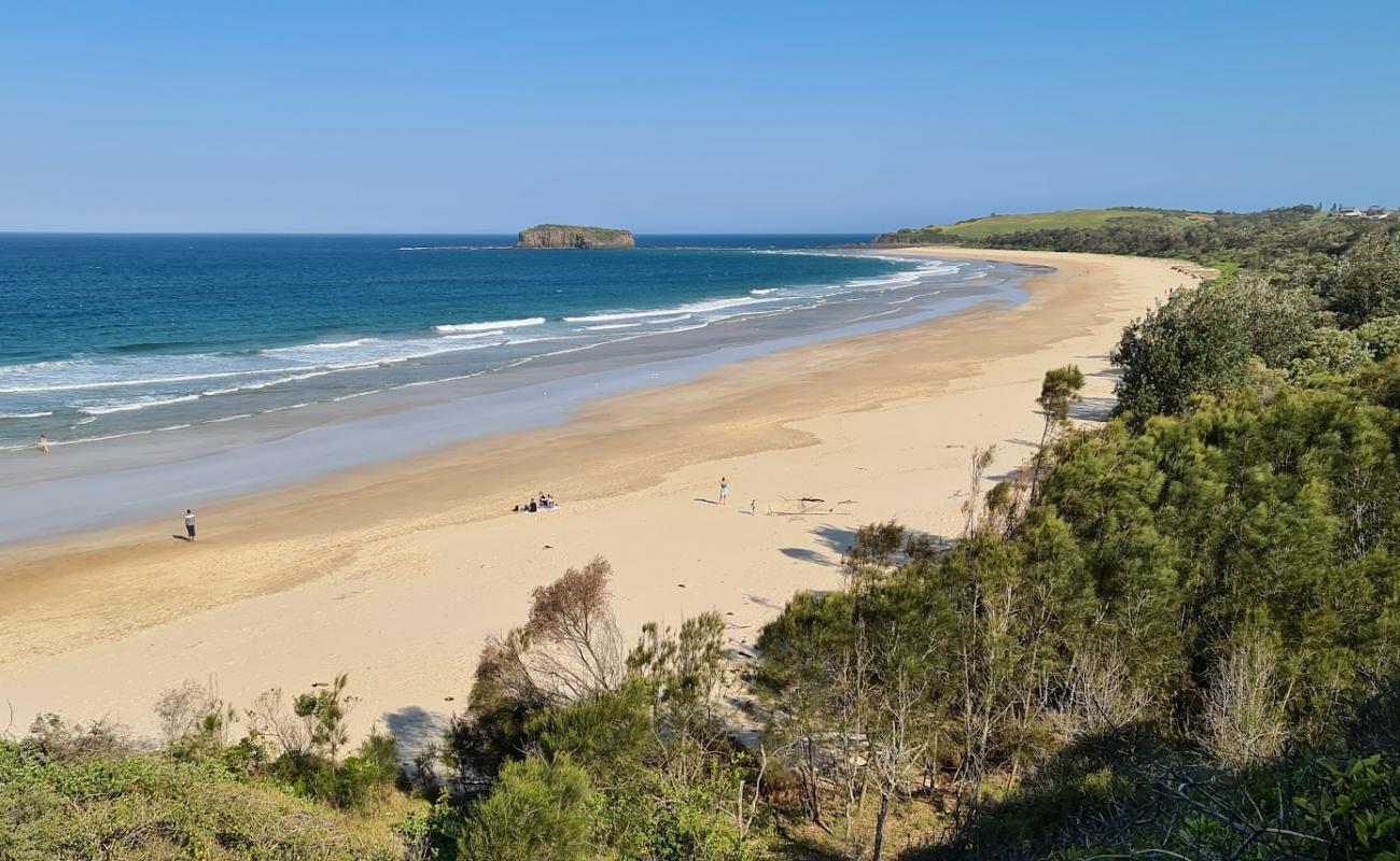 Фото Minnamurra Beach с золотистый песок поверхностью