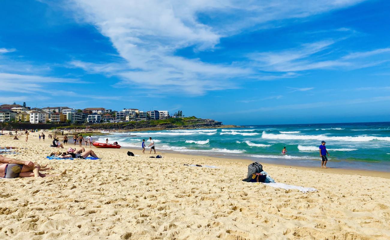 Фото Maroubra Beach с светлый песок поверхностью