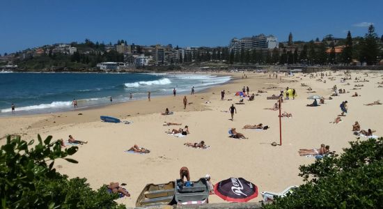 Coogee Beach