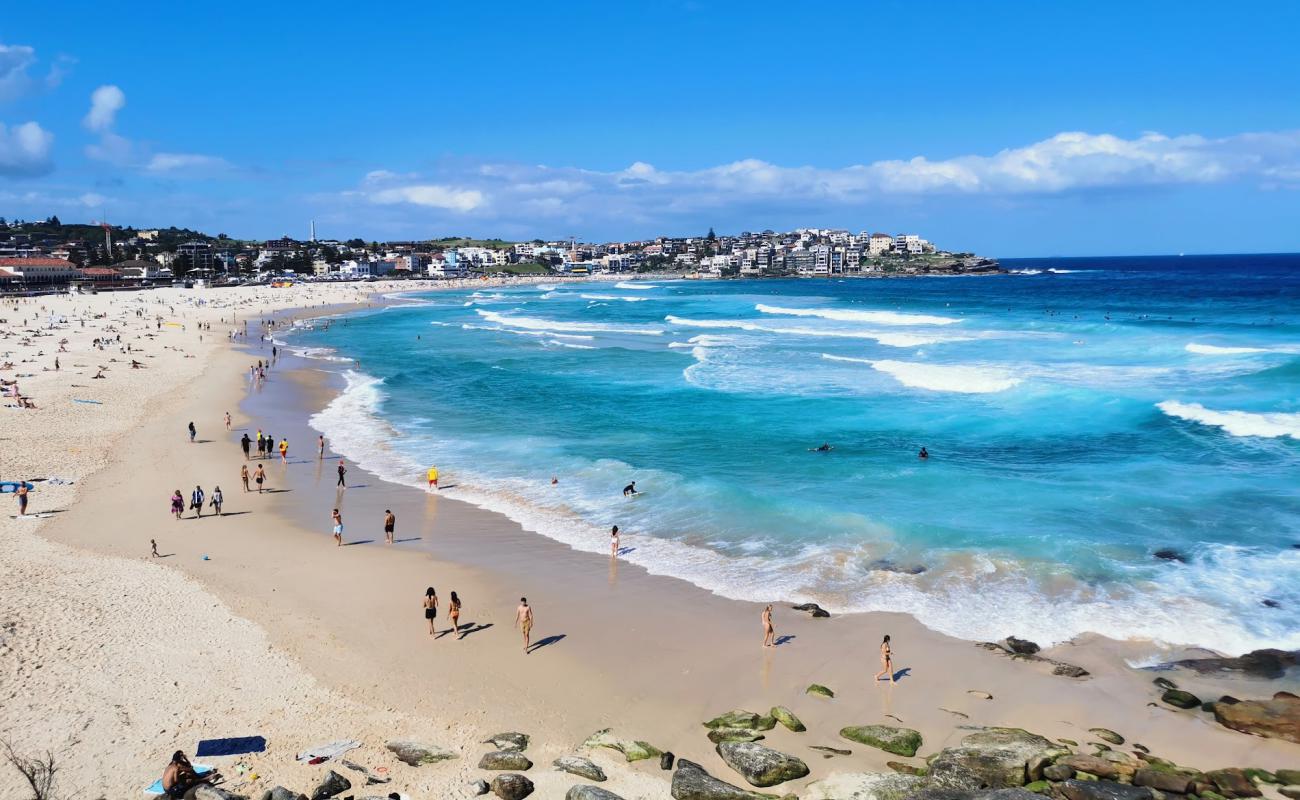 Фото Bondi Beach с золотистый песок поверхностью