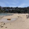 Chowder Bay Beach