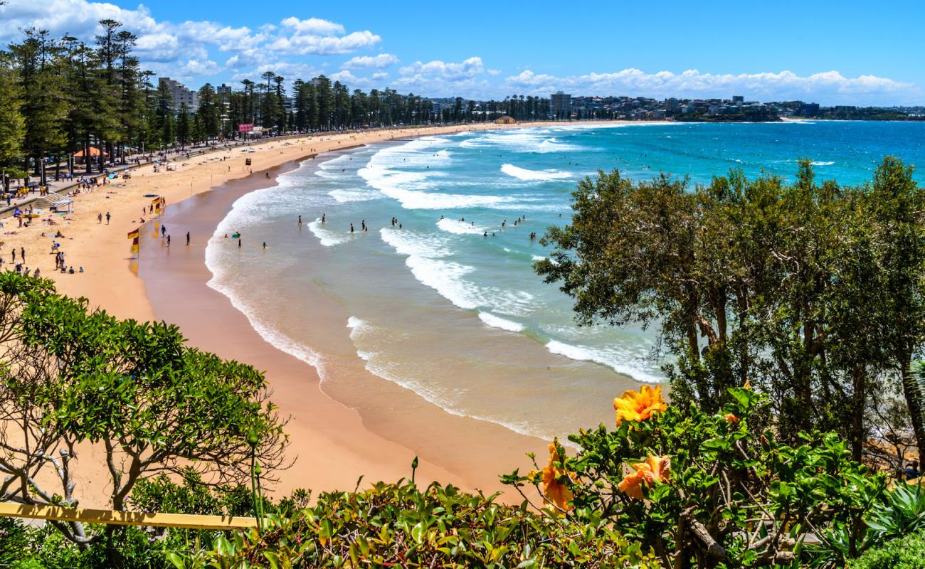 Фото Manly Beach с золотистый песок поверхностью