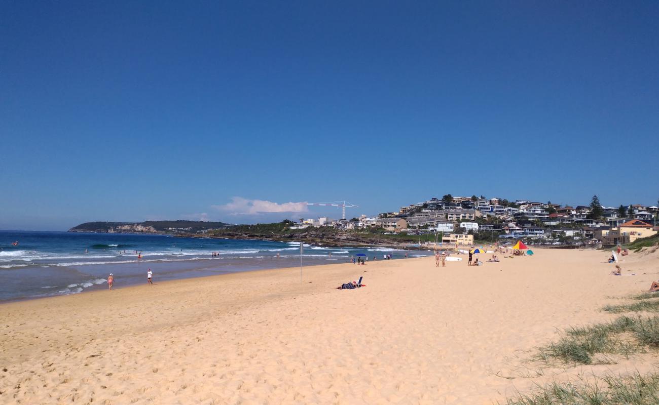 Фото South Curl Curl Beach с золотистый песок поверхностью