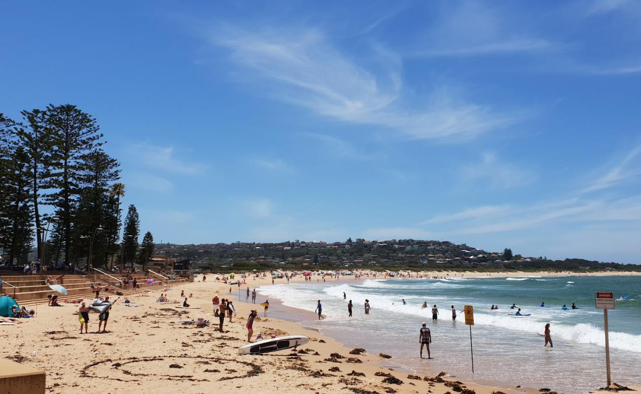 Фото Dee Why Beach с золотистый песок поверхностью