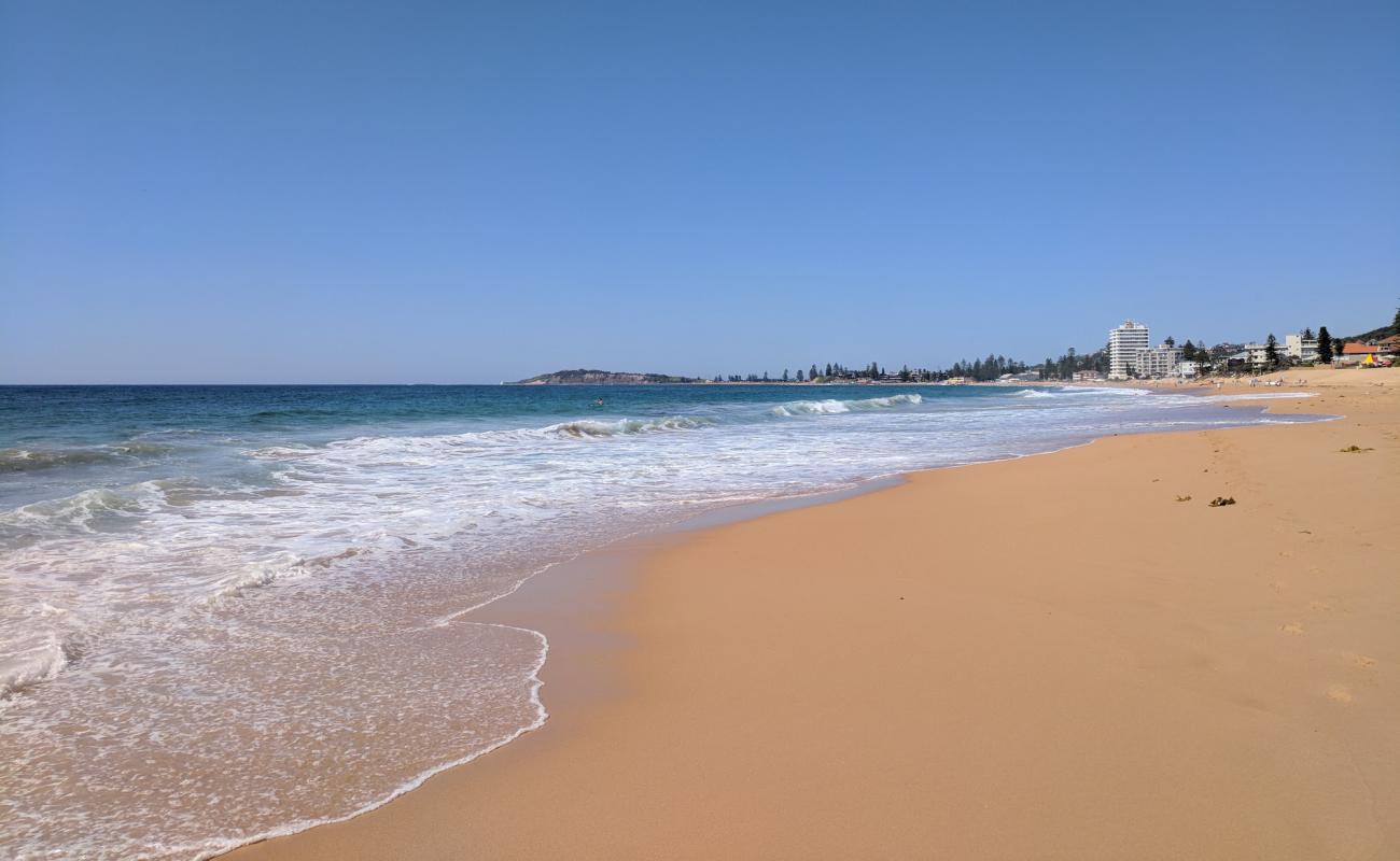 Фото Narrabeen Beach с светлый песок поверхностью