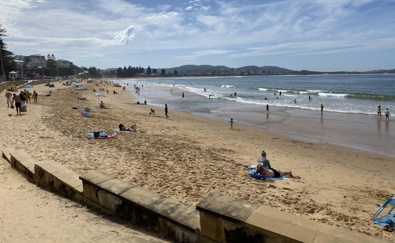 Фото Terrigal Beach с светлый песок поверхностью