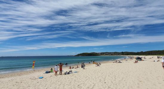 Fingal Bay Foreshore Reserve