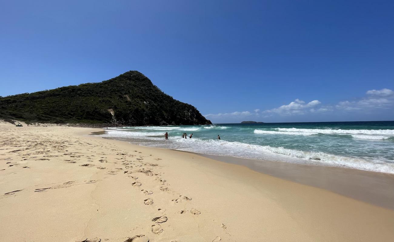 Фото Zenith Beach с золотистый песок поверхностью