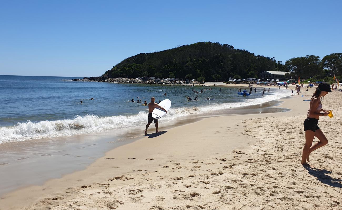 Фото Scotts Head Beach с золотистый песок поверхностью