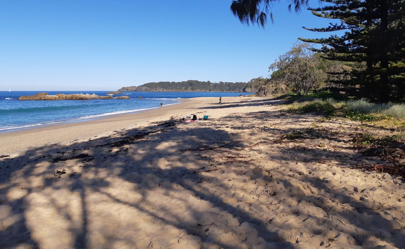 Фото Opal Cove Beach с светлый песок поверхностью