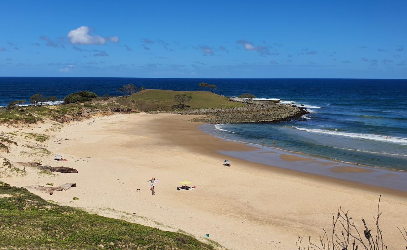 Фото Angourie Back Beach с светлый песок поверхностью