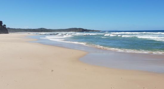 New Zealand Beach