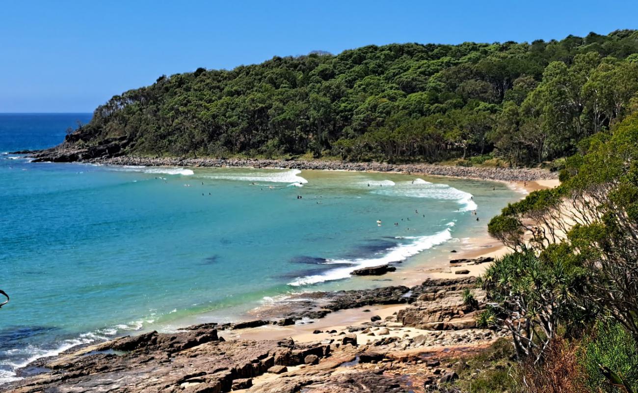 Фото Tea Tree Bay Beach с светлый песок поверхностью