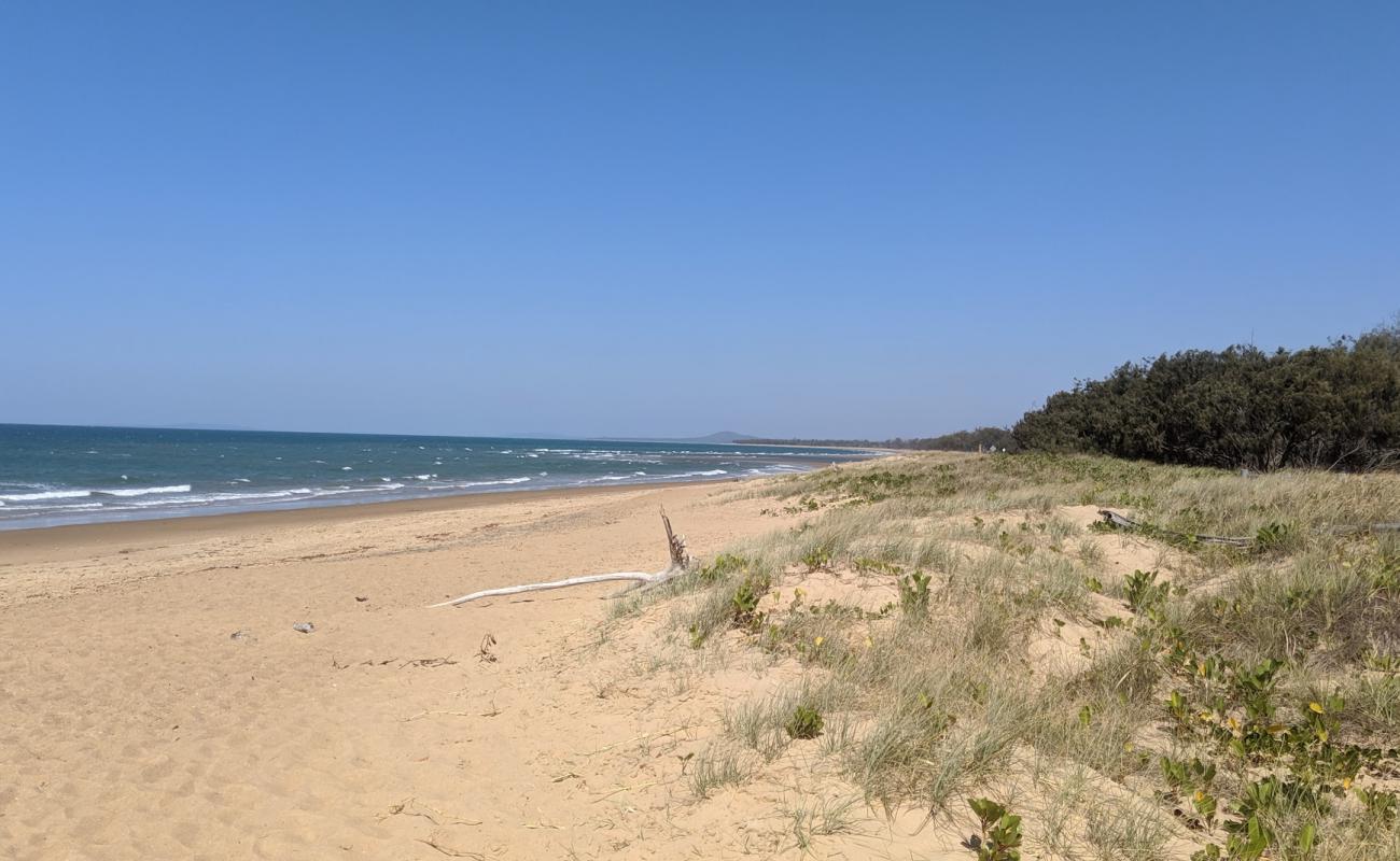 Фото Wild Cattle Beach с светлый песок поверхностью