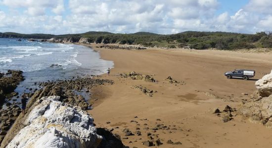 Joey Lees Beach