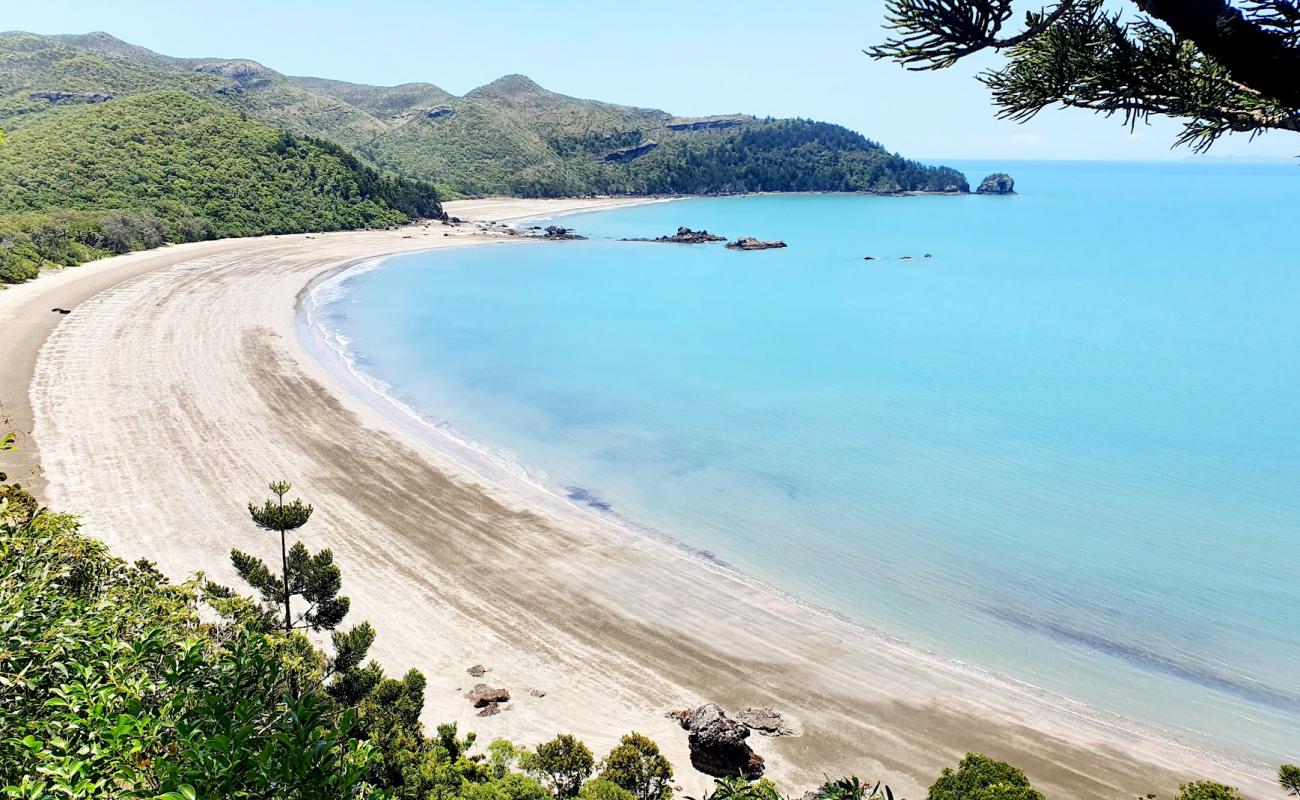 Фото Cape Hillsborough Beach с светлый песок поверхностью