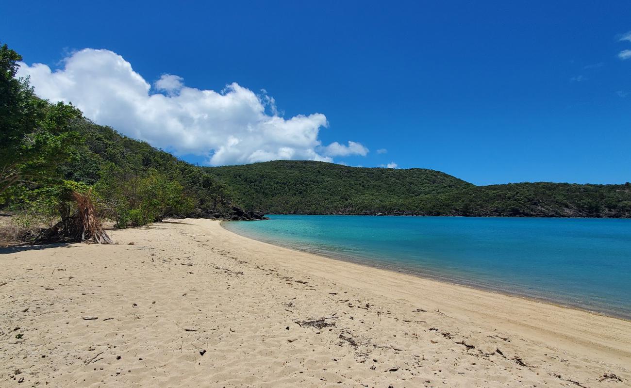 Фото Coral Cove Beach с светлый песок поверхностью