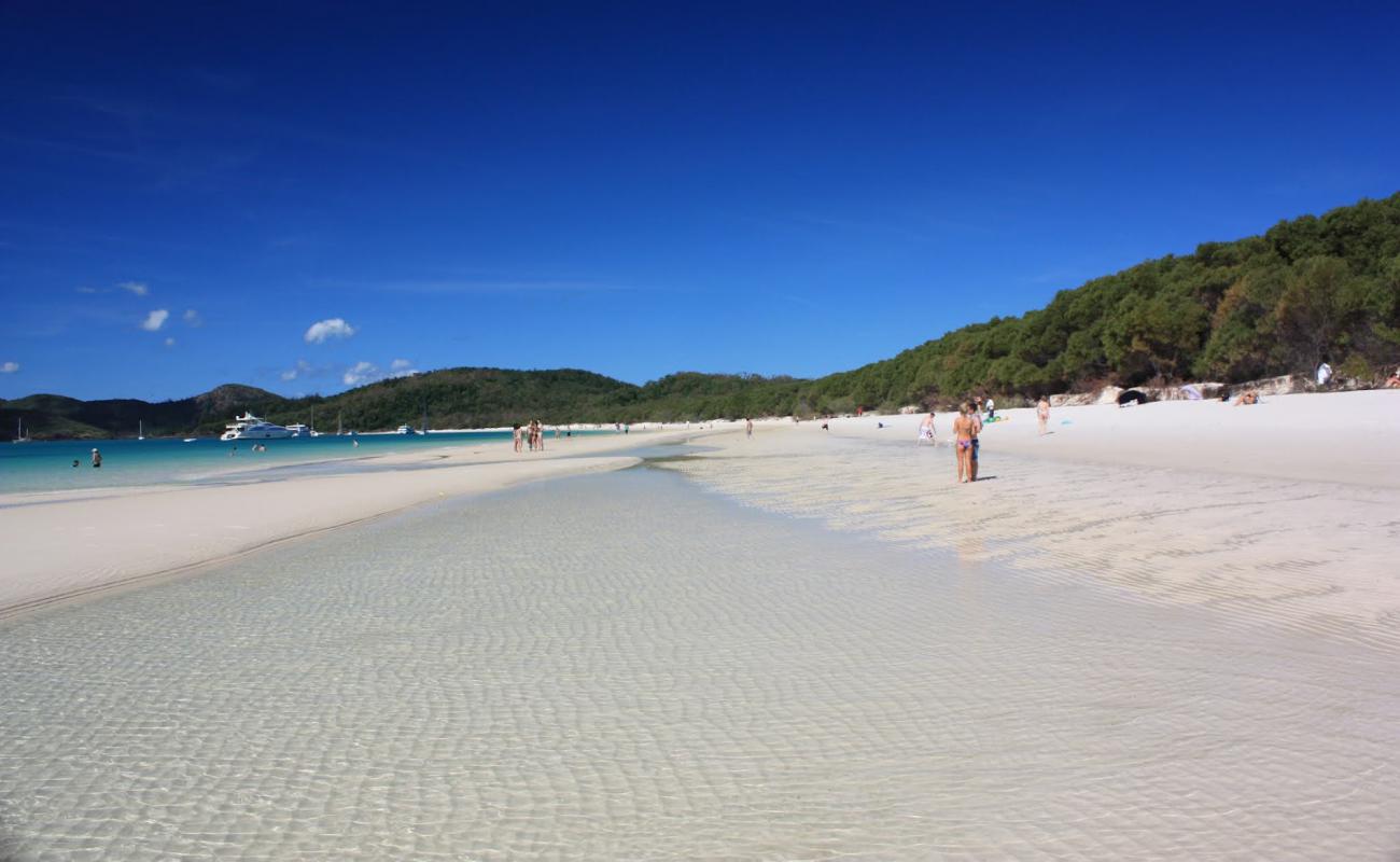 Фото Whitehaven Beach с белый чистый песок поверхностью