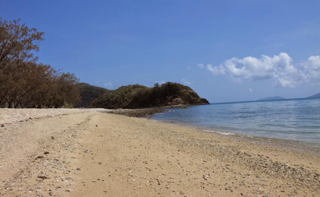 Фото Paddle Bay Beach с песок с камнями поверхностью