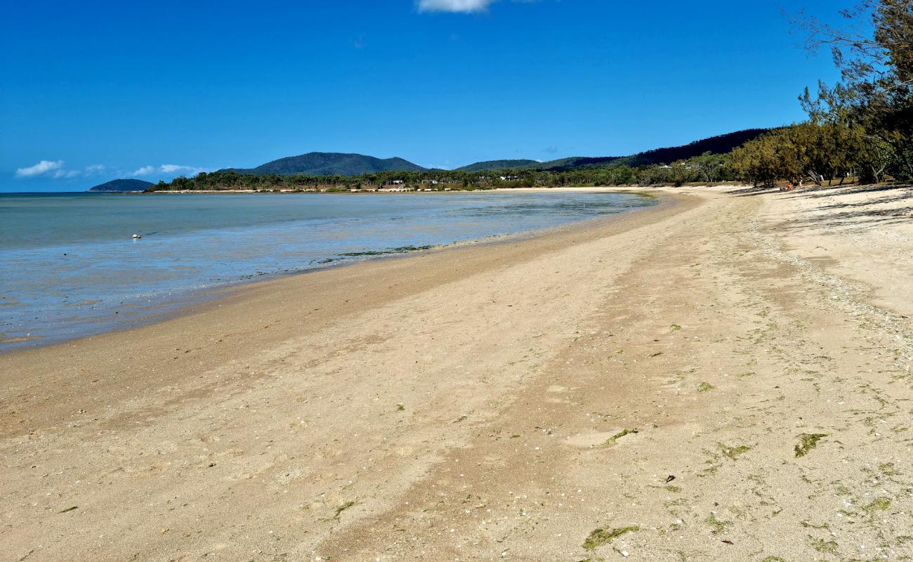 Фото Dingo Beach с светлый песок поверхностью