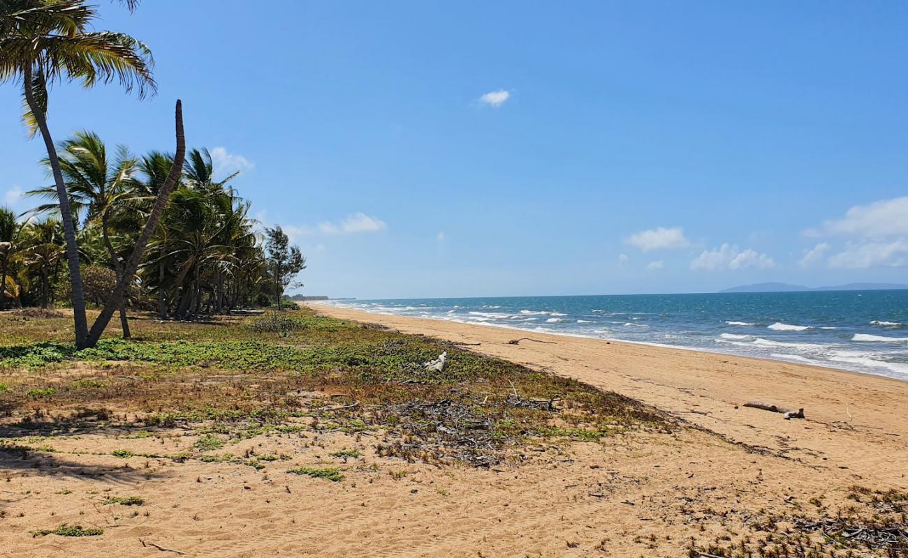 Фото Forrest Beach с светлый песок поверхностью