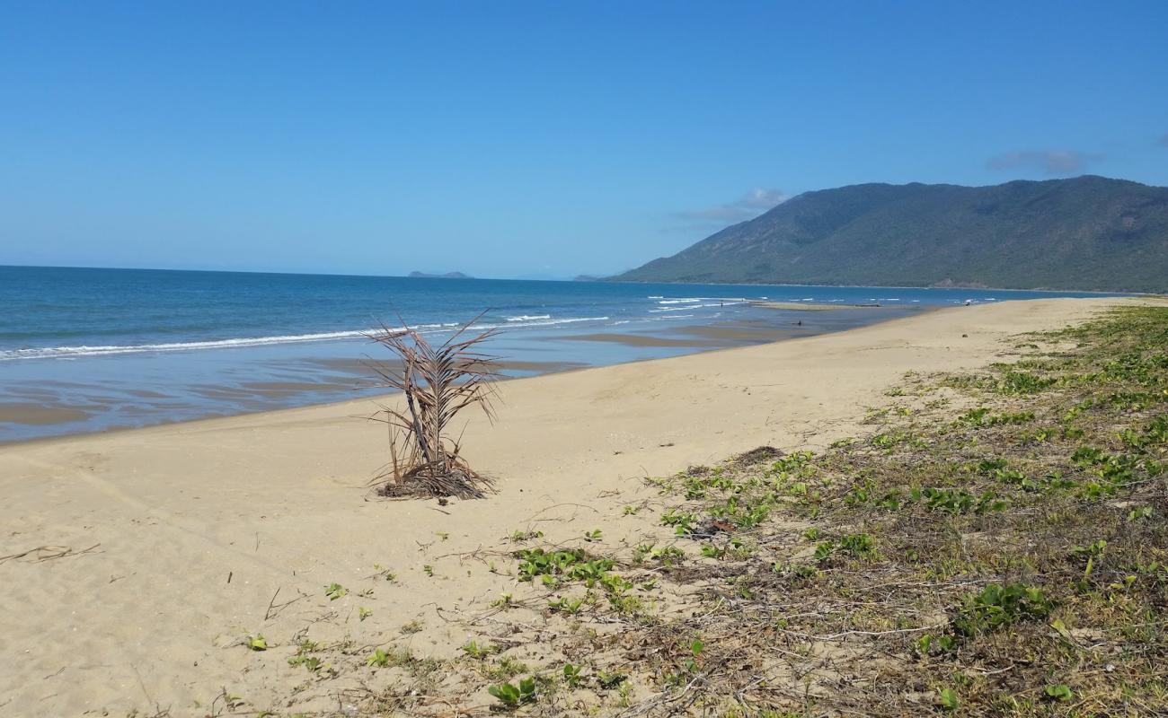 Фото Wangetti Beach с светлый песок поверхностью