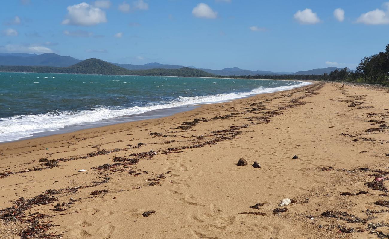 Фото Walker Bay Beach с светлый песок поверхностью