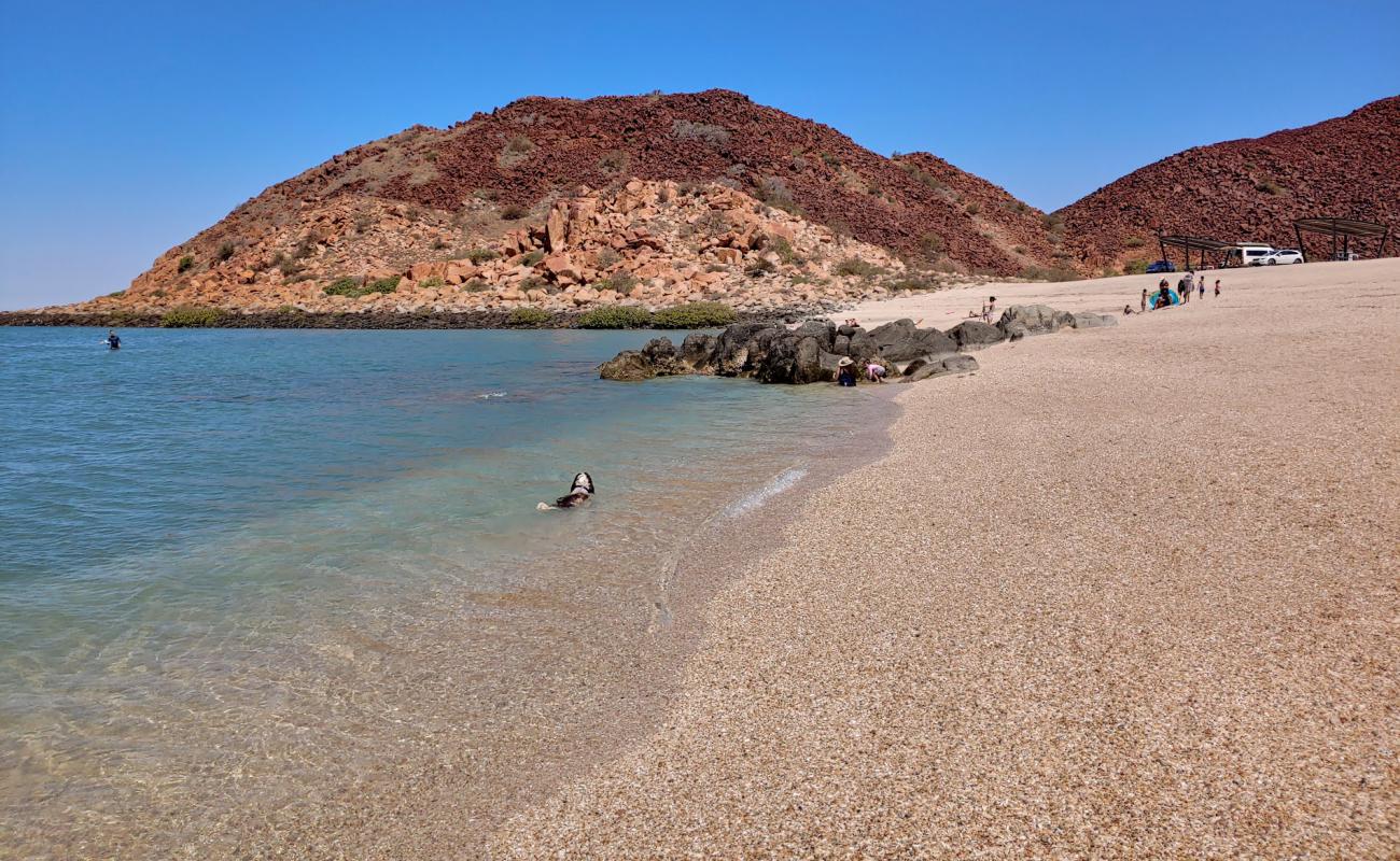 Фото Hearson's Cove с белая чистая галька поверхностью