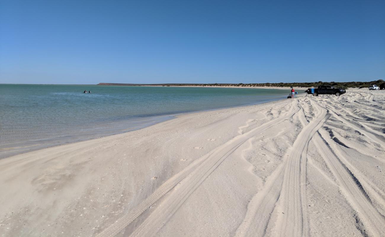 Фото Herald Bight Beach с светлый песок поверхностью