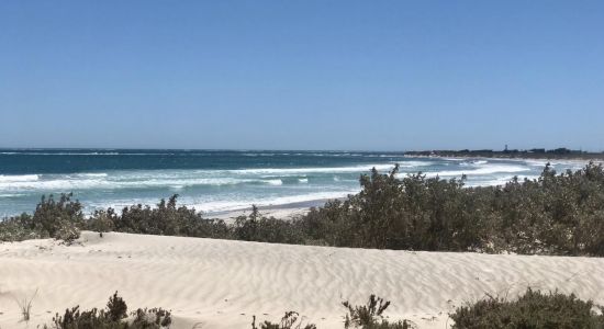 Tarcoola Beach