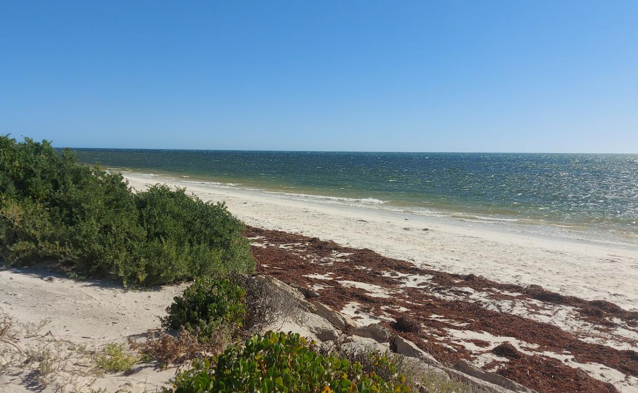 Фото Illawong Beach с светлый песок поверхностью