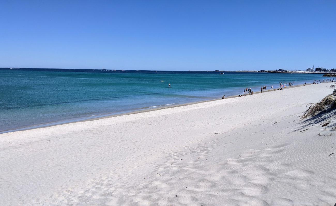 Фото North Coogee Dog Beach с светлый песок поверхностью