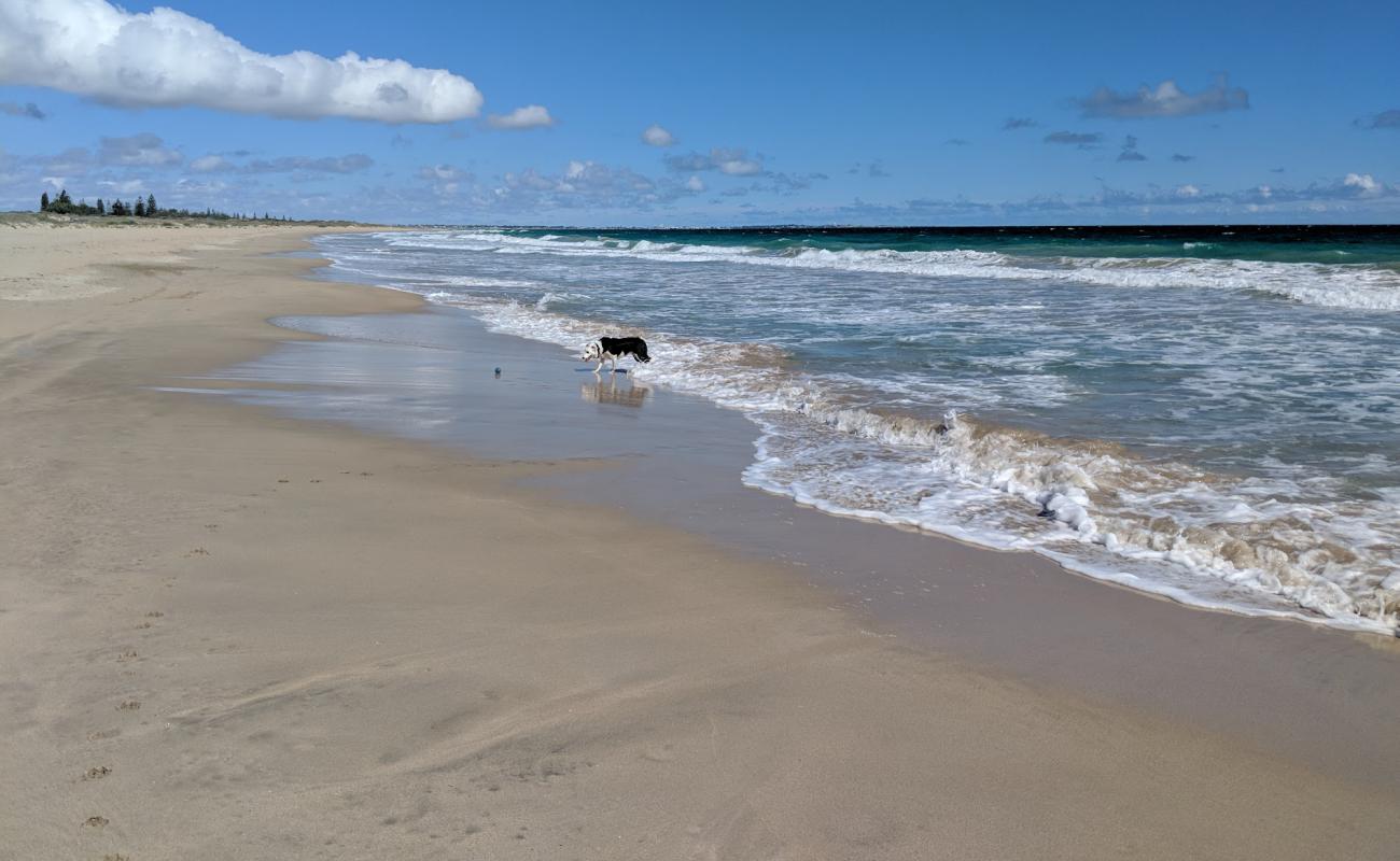 Фото Singleton Beach с светлый песок поверхностью