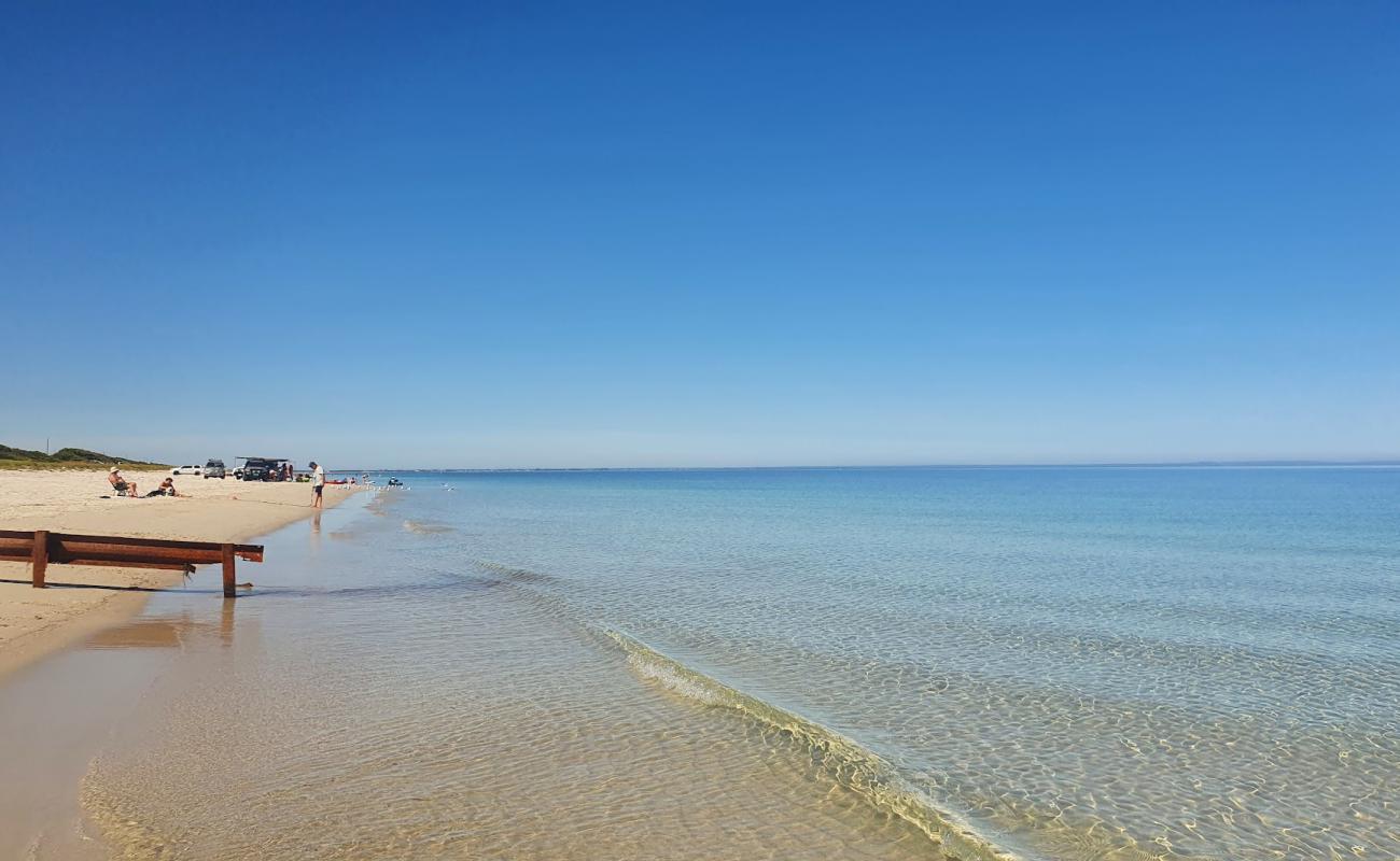 Фото Forrest Beach с светлый песок поверхностью