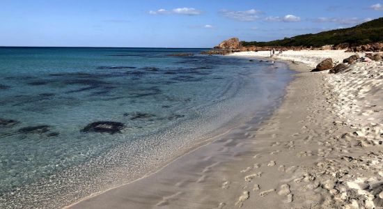 Castle Rock Beach