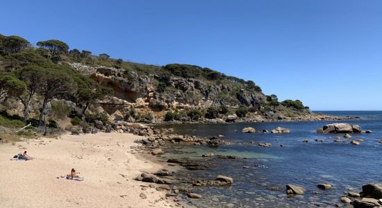 Shelley Cove Beach