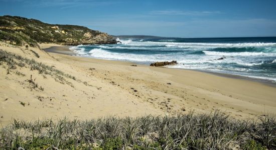 Honeycombs Beach