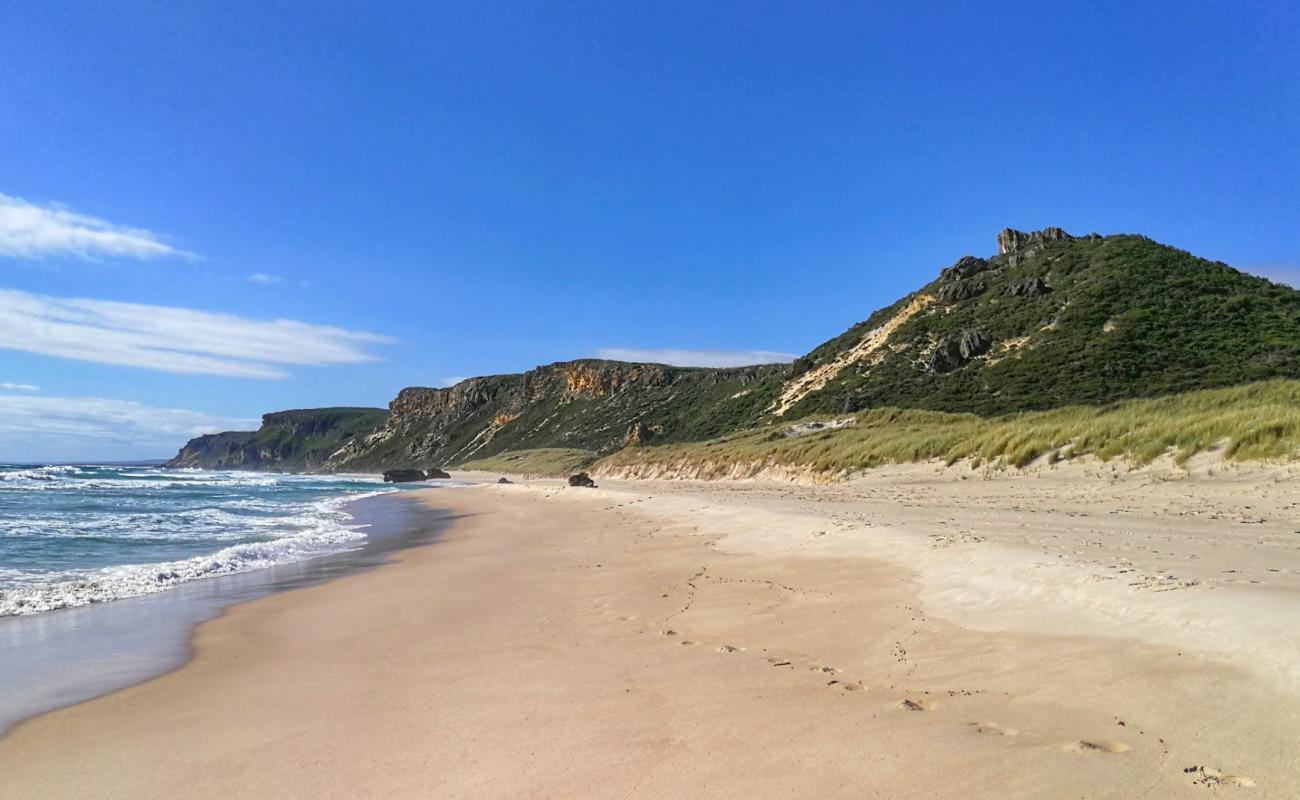 Фото Salmon Beach с светлый песок поверхностью