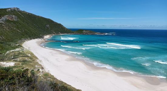 Conspicuous Cliff Beach