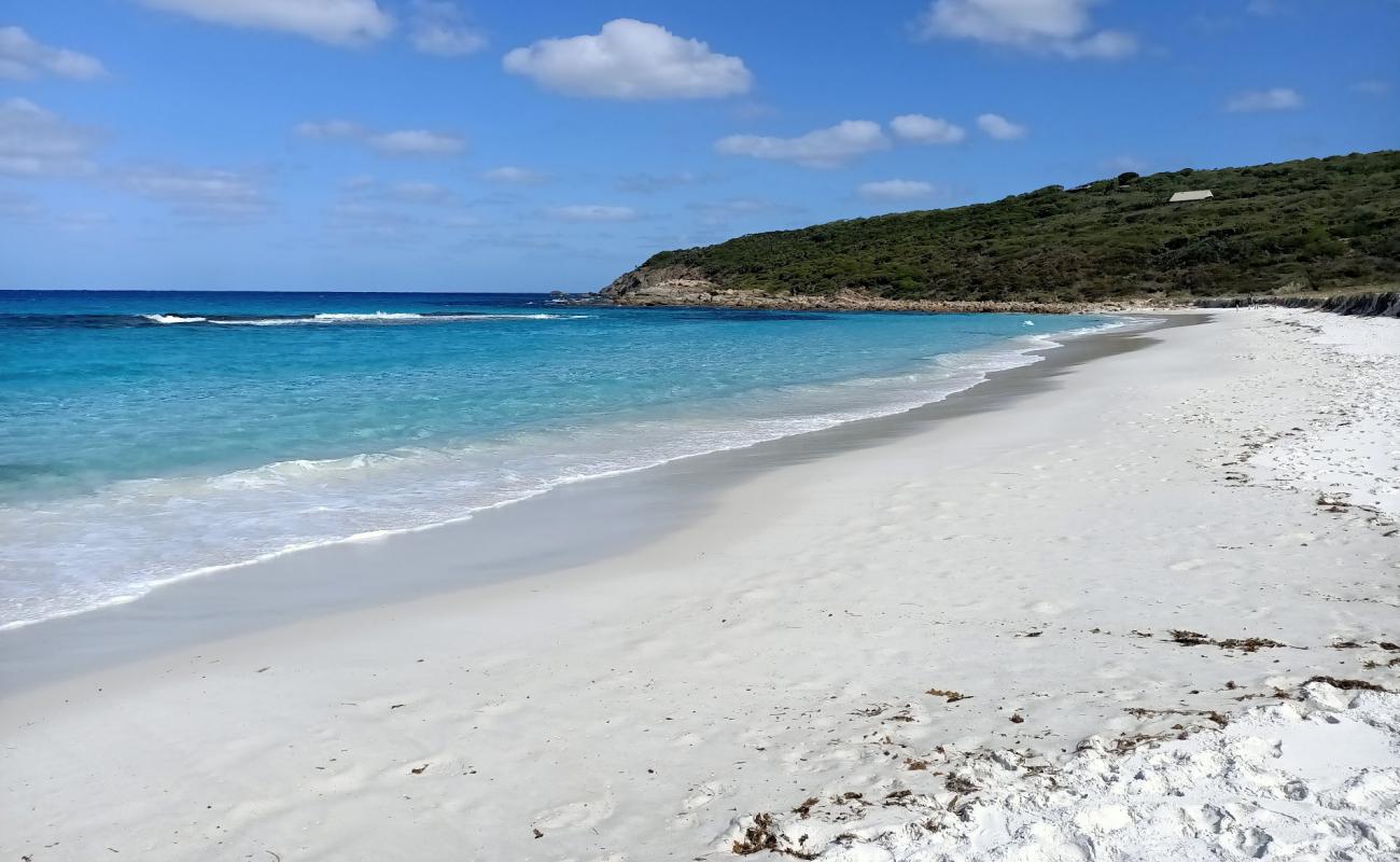 Фото Short Beach с золотистый песок поверхностью