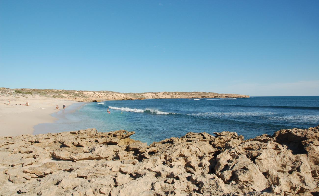 Фото Cactus Beach с светлый песок поверхностью