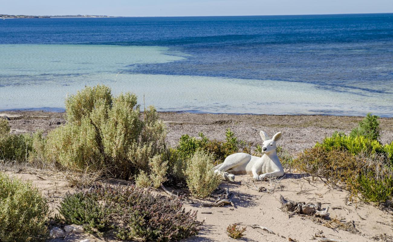 Фото RoseBay Beach с светлый песок поверхностью