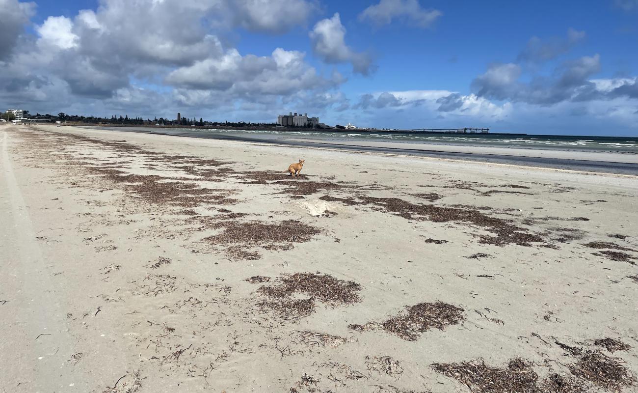 Фото North Beach Foreshore с светлый песок поверхностью